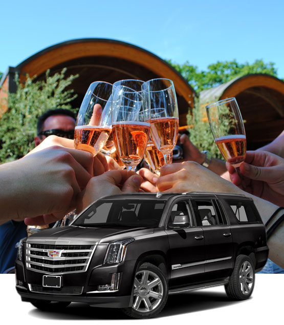 Sonoma Designated Drivers and Sonoma Wine Tour Drivers Chauffeurs-sonoma-wine-tours Home  