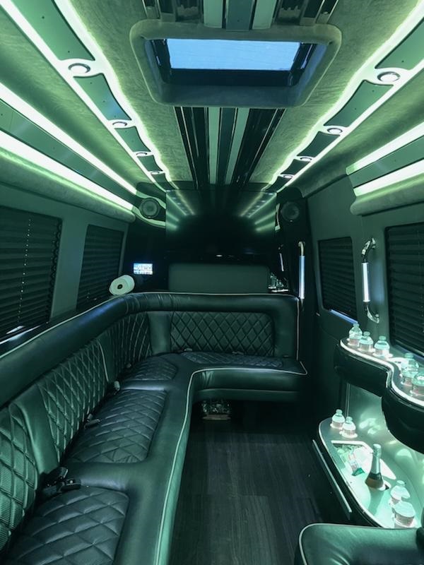 Our 13 Passenger Limousine Style SEATING